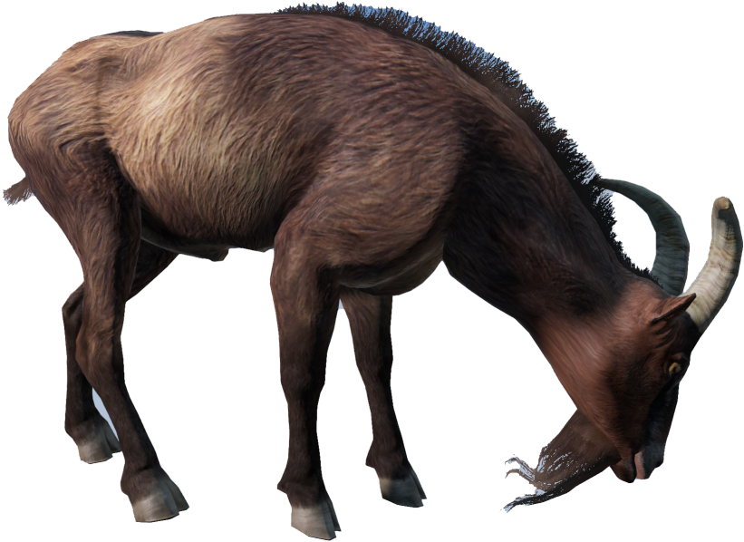 Animal_CapraHircus_Brown