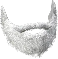 santasbeard
