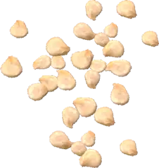 pepperseeds