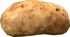potatoseed