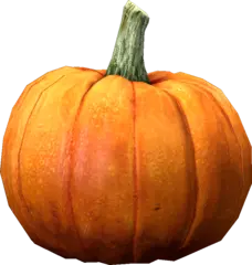 pumpkin