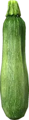 zucchini