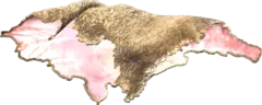 sheeppelt
