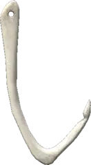 bonehook