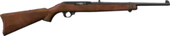 ruger1022