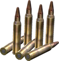 ammo_556x45